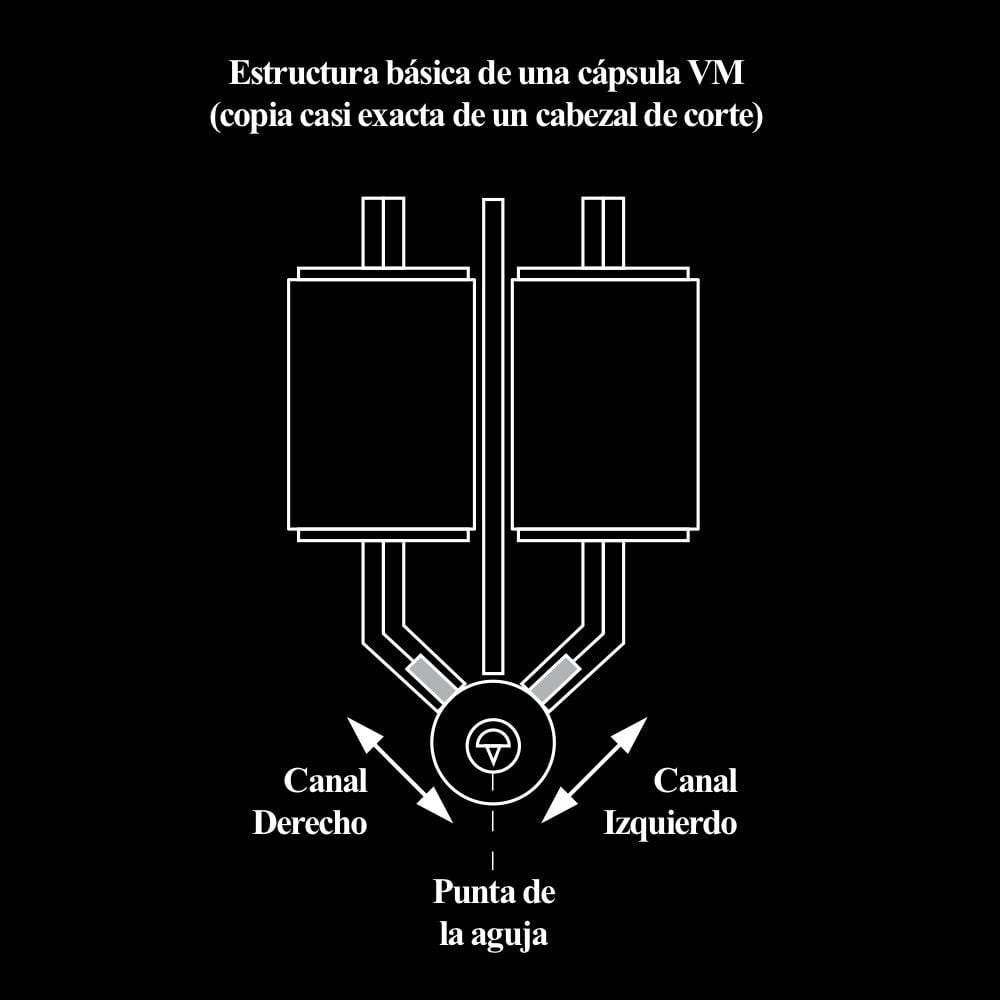 Estructura básica de una cápsula VM