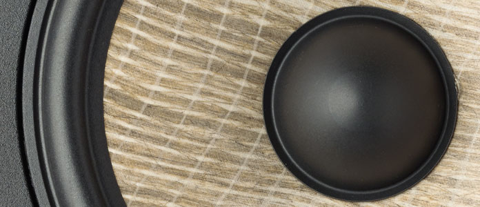 Focal Sub 1000 F <strong>Potencia</strong> y desempeño