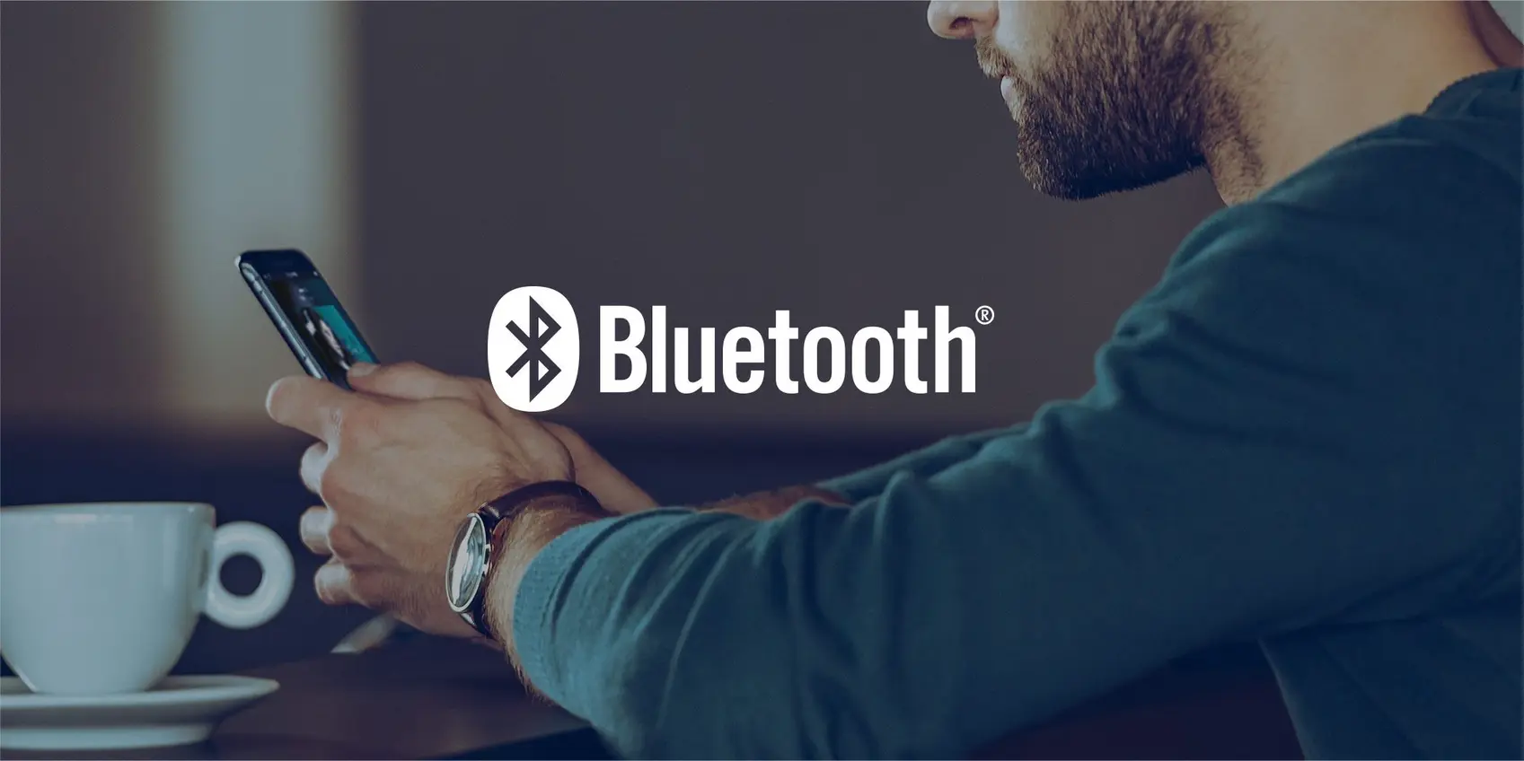 Yamaha NP-S303 (ex-demo) Yamaha NP-S303 (ex-demo) <strong>Salidas</strong> digitales y analógicas